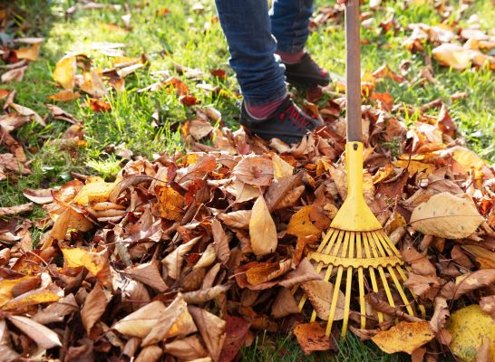 Herbst
