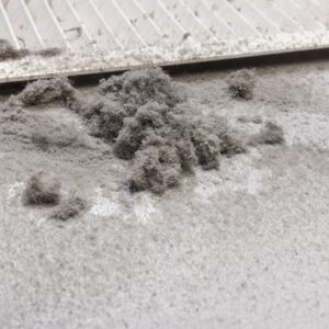 Schmutzarten im Vergleich – Staub, (1)