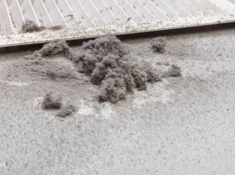 Schmutzarten im Vergleich – Staub, (1)